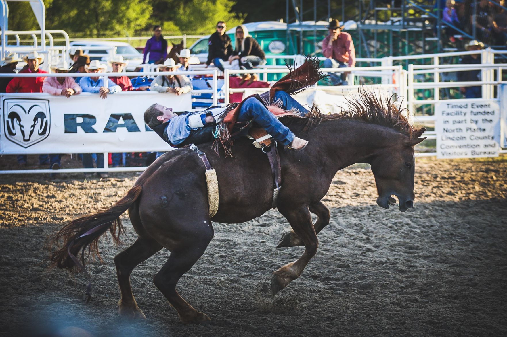 Buffalo Bill Rodeo Night 1 (5).jpg